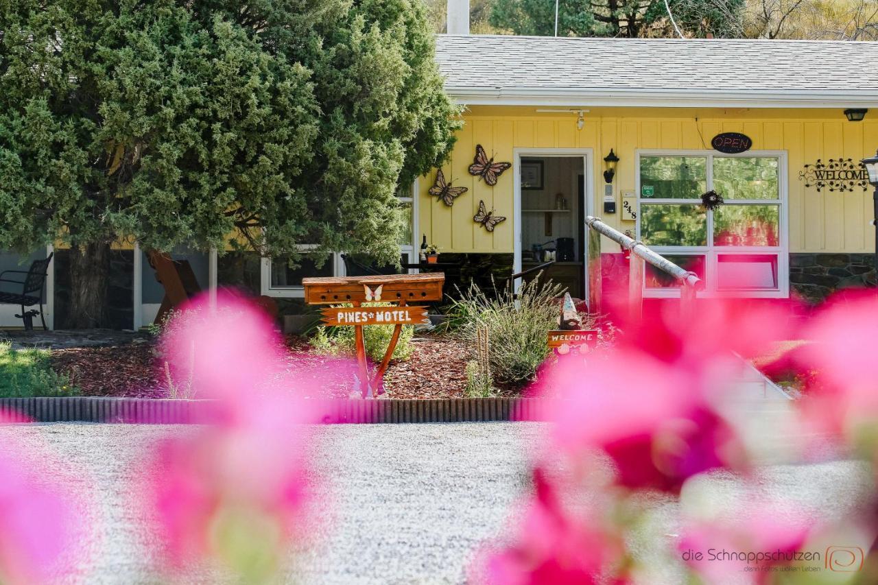 Newcastle The Pines Country Inn المظهر الخارجي الصورة